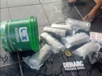 Polícia Civil apreende grande quantidade de drogas e prende professor universitário por tráfico -