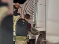 PRF apreende 500 kg de cocaína escondidos em caminhão na BR-153 em Guaraí