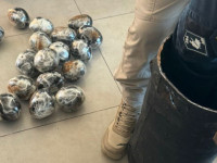 Cilindro de ferro com 18 kg de haxixe e 1 kg de maconha foi localizado pela PRF dentro de mala no compartimento de bagagens do ônibus 