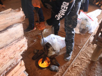  Aproximadamente 170 quilos de drogas apreendidas foram destruídas