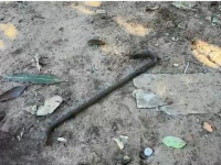 Barra de ferro do tipo pé de cabra usada no ataque. 