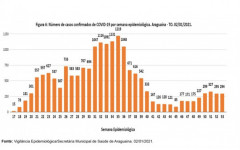Reprodução de relatório da Vigilância Epidemiológica de Araguaína.