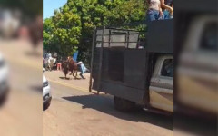 Mulher cai de cavalo durante cavalgada em Guaraí e fica em estado grave