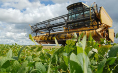 Tocantins inicia o cultivo da soja em mais de 1,5 milhão de hectares