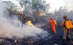 Formoso do Araguaia ocupa o topo da lista com 41 focos, seguido por Sandolândia com 28 e Mateiros com 21. 