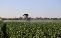 Cultivo de soja na Unidade de Pesquisa Agro da Unitins em Formoso do Araguaia 