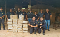 olícia Civil do Tocantins realizou a incineração de aproximadamente 400 kg de maconha, 