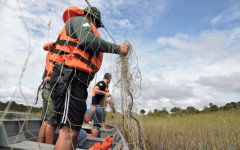 té fevereiro de 2024, também será proibido utilizar armadilhas de pesca, como redes de arrasto, tarrafas e espinheis, práticas classificadas como crime ambiental.