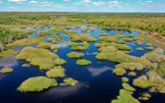 A proposta é discutir a importância da sustentabilidade e do cuidado com o meio ambiente, promovendo cultura e educação ambiental por meio de diálogos e troca de experiências