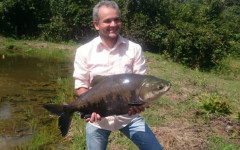 O tambaqui representa 48% da produção tocantinense de pescado 