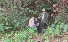 Equipes técnicas na SES-TO realizam investigação sobre febre amarela em Monte do Carmo