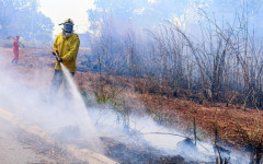  Brigadistas florestais vão auxiliar os bombeiros militares na prevenção e combate aos incêndios florestais.