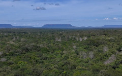  Jalapão vista aérea proxima da Cachoeira da Formiga.
