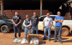 Polícia Civil incinera mais de 7 kg de entorpecentes apreendidos durante ações no interior do Tocantins 