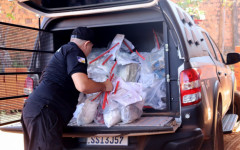 Polícia Civil do Tocantins incinera aproximadamente 200 kg de entorpecente em Palmas 