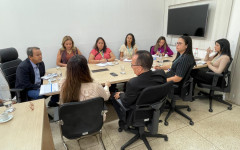 A reunião teve foco na expansão da infraestrutura elétrica e no suporte energético necessário para o avanço das atividades industriais no Tocantins 