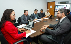 A reunião foi conduzida pela coordenadora do Centro de Apoio Operacional do Consumidor, da Cidadania, dos Direitos Humanos e da Mulher (Caoccid) do MPTO