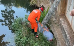 Corpo foi encontrado enrolado em panos debaixo da ponte que passa pela avenida Frimar, que liga o bairro JK à TO-222.