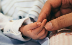 Atendimento e serviços de instituições voltadas para a primeira infância. 