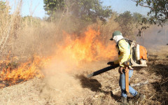Brigadista do Naturatins durante manejo do fogo em Unidade de Conservação