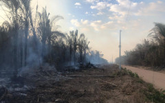 Focos de incêndio ameaçam rede elétrica e afetam milhares de famílias no Tocantins.
