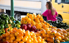 Condições especiais incluem juros de 0,5% ao ano, prazo de até três anos para pagamento e bônus de adimplência de até 40%. 