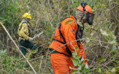 Os números confirmam uma mudança positiva no cenário ambiental brasileiro e reforçam o compromisso do Governo do Brasil com a preservação dos biomas, a proteção da biodiversidade e o enfrentamento das mudanças climáticas 