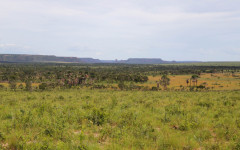 Os dados do Boletim foram consolidados pelo Centro de Inteligência Geográfica em Gestão do Meio Ambiente