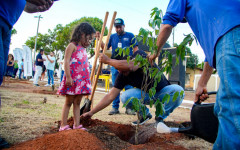 Plantio de mudas marcou a abertura do Projeto Praça Verde no Setor Santa Terezinha.