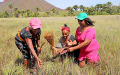  Comunidades quilombolas desempenham papel central na preservação de saberes, práticas culturais que atravessam gerações 