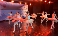 Começou nessa sexta-feira, 5, a magia das apresentações de fim de ano do Balé Popular do Tocantins. O projeto, desenvolvido pela Secretaria de Estado da Educação (Seduc), convida o público para uma viagem sensorial com o tema 