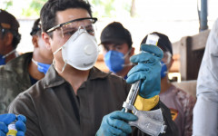 A vacinação contra a brucelose é obrigatória e abrange as fêmeas bovinas e bubalinas com idade entre 3 e 8 meses.