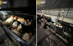 A abordagem aconteceu por volta das 21h, no km 160 da rodovia.