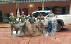 As ações ocorreram no PEC, Área de Proteção Ambiental (APA) Ilha do Bananal/Cantão e na região norte do estado