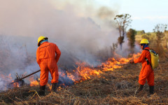 Para se candidatar às vagas, os interessados devem ser maiores de idade e não possuir problemas crônicos de saúde. Não é exigido que o candidato tenha experiência anterior