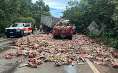 Restos de carne são espalhados pela pista após acidente na BR-010 