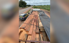 rante a fiscalização, os policiais constataram inconsistências na documentação ambiental apresentada.