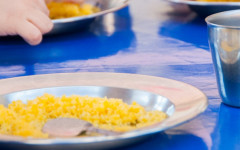 Recomendação do MPTO alerta para riscos sanitários na merenda escolar de escolas municipais de Palmas 