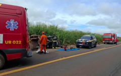 Bombeiros atuaram na retirada dos corpos 