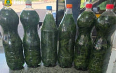 Garrafas com líquido de odor alcoólico e material vegetal semelhante à maconha foram apreendidas pela PRF na BR-153, em Paraíso do Tocantins