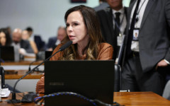 Senadora Professora Dorinha Seabra (União) solicitou audiência de emergência com ministro dos Transportes para tratar da interdição da ponte de Pedro Afonso 