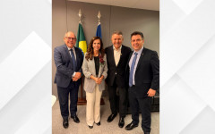 Senadora Professora Dorinha (União), Ronaldo Dimas e deputado federal Tiago Dimas durante encontro em Brasília