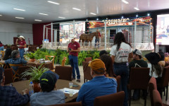 Araguaína Horse  abriu o circuito de leilões da Expoara 2026 com a comercialização de animais de alto padrão genético.