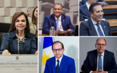 Dorinha Seabra comentou a possibilidade de o grupo político ter quatro pré-candidatos ao Senado nas eleições de 2026.