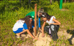 Entre as ações realizadas, estudantes de escolas públicas e privadas participaram de um mutirão de limpeza na Prainha da Via Lago, plantio de mudas de árvores nativas em uma atividade que incentivou a reflexão sobre o descarte correto de resíduos e a cons