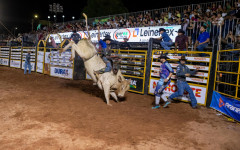 Arena da Expoara 2026 recebe competidores de diversas regiões do país em etapa da Liga Nacional de Rodeio 