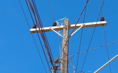 Quando uma pipa enrosca na fiação, há risco de choque elétrico e de interrupções no fornecimento de energia.