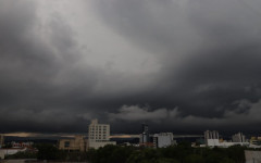 Chuva Palmas