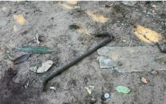 Barra de ferro do tipo pé de cabra usada no ataque. 