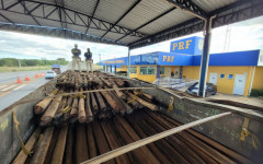 Madeira nativa e comprimidos de anfetamina foram apreendidos durante fiscalização da PRF na BR-153, em Araguaína.